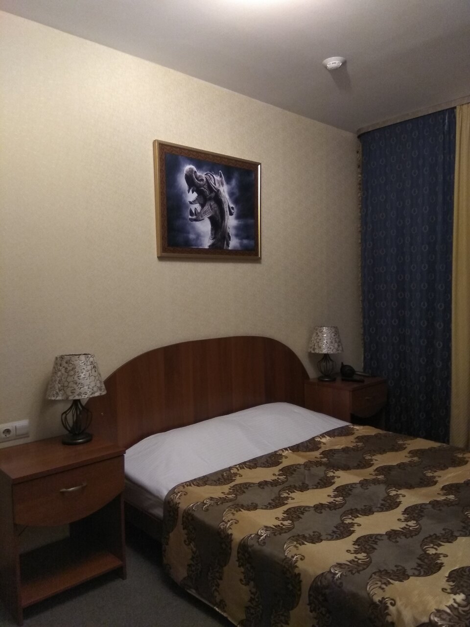 Гостиница Викинг Выборг-185