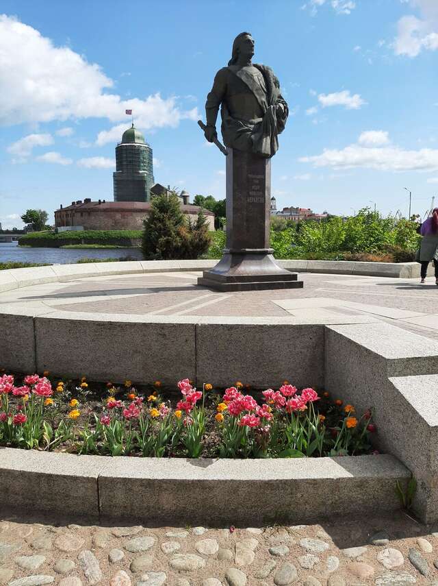 Гостиница Викинг Выборг-119